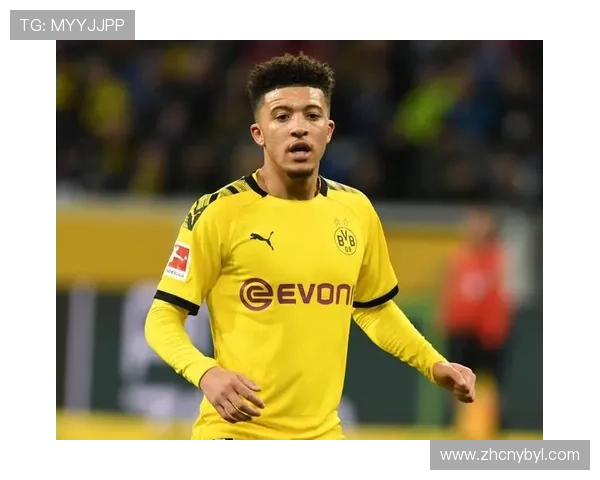 亚博YaBo真人国际：全面解析其安全性与信誉保障措施